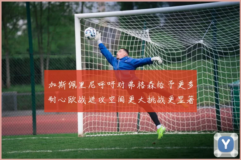 加斯佩里尼呼吁对弗格森给予更多耐心欧战进攻空间更大挑战更显著