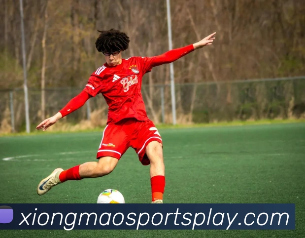 低价高薪引援成功拉比奥特加盟米兰后表现出色助球队不败